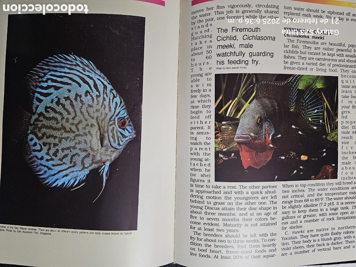 Libros: Breeding Aquarium fish - Foto 2