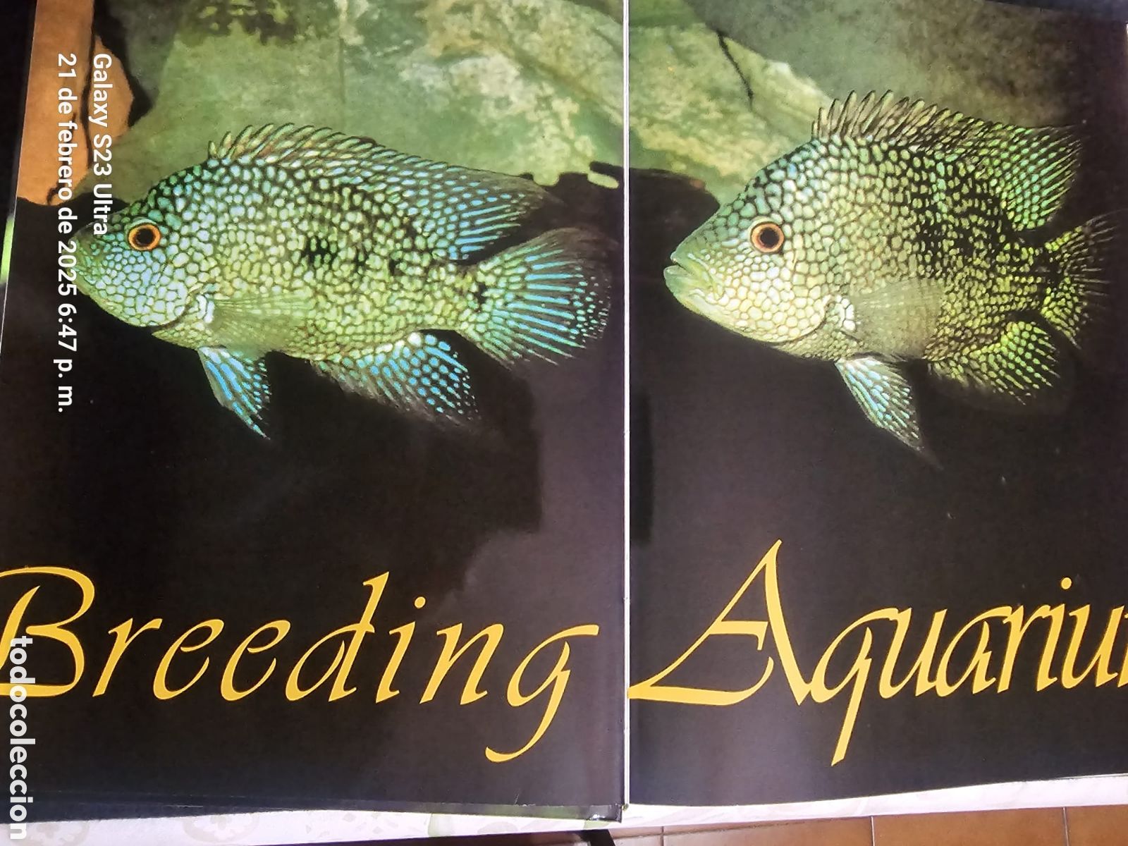 Libros: Breeding Aquarium fish - Foto 3