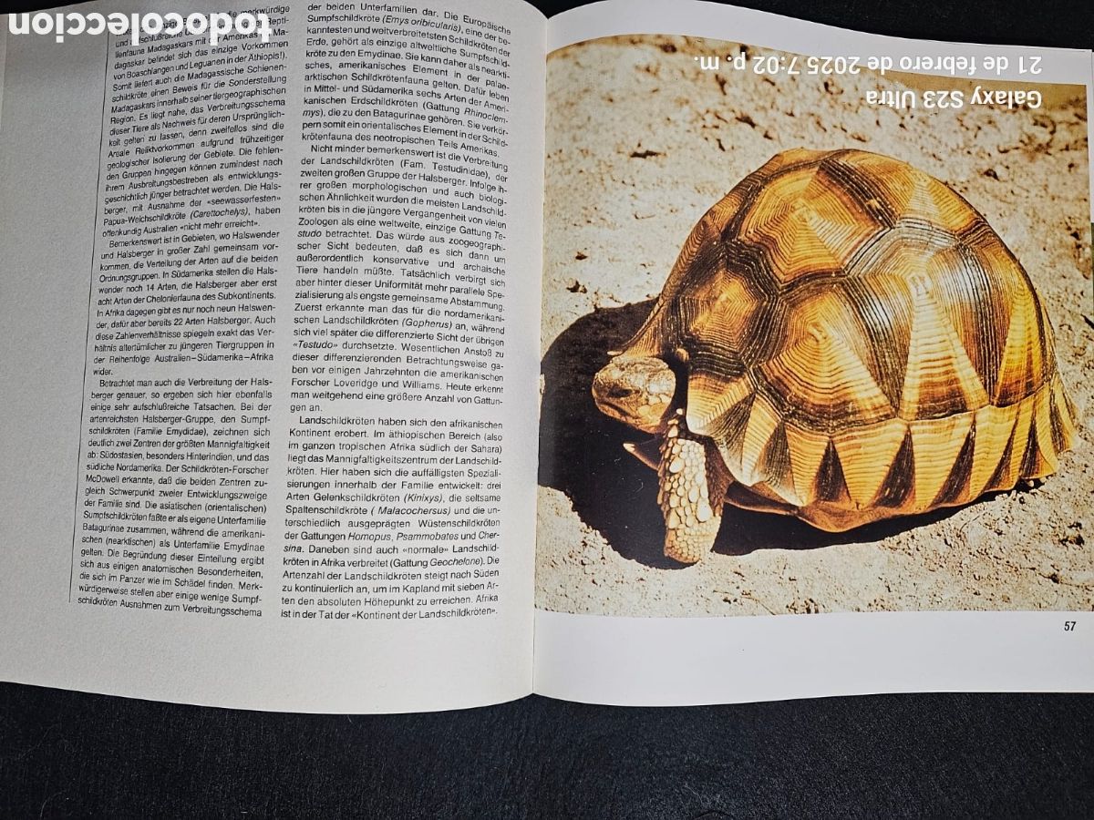 Libros: Die welt der Schildkroten - Foto 3
