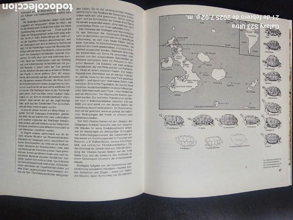 Libros: Die welt der Schildkroten - Foto 4