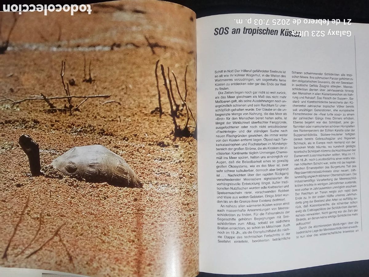 Libros: Die welt der Schildkroten - Foto 5