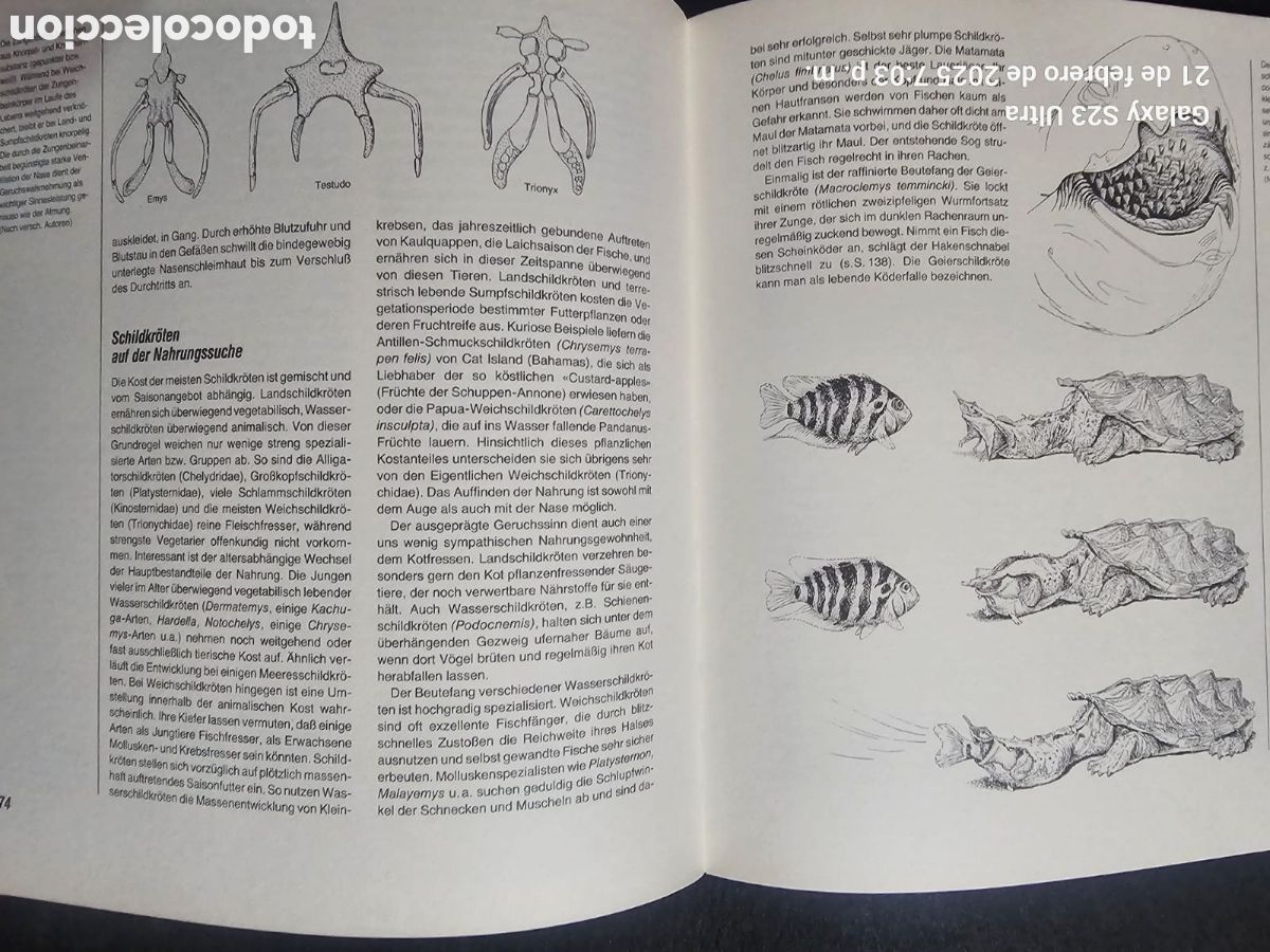 Libros: Die welt der Schildkroten - Foto 6