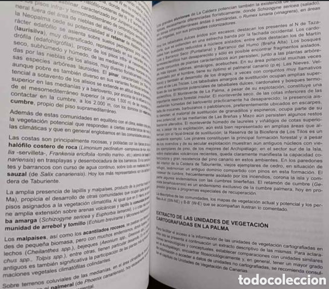 Libros: Mapa de Vegetaci&oacute;n de Canarias - Foto 5