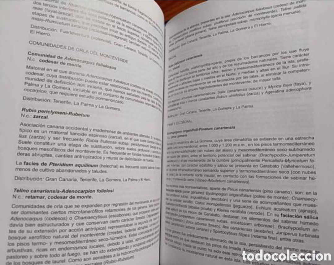 Libros: Mapa de Vegetaci&oacute;n de Canarias - Foto 7