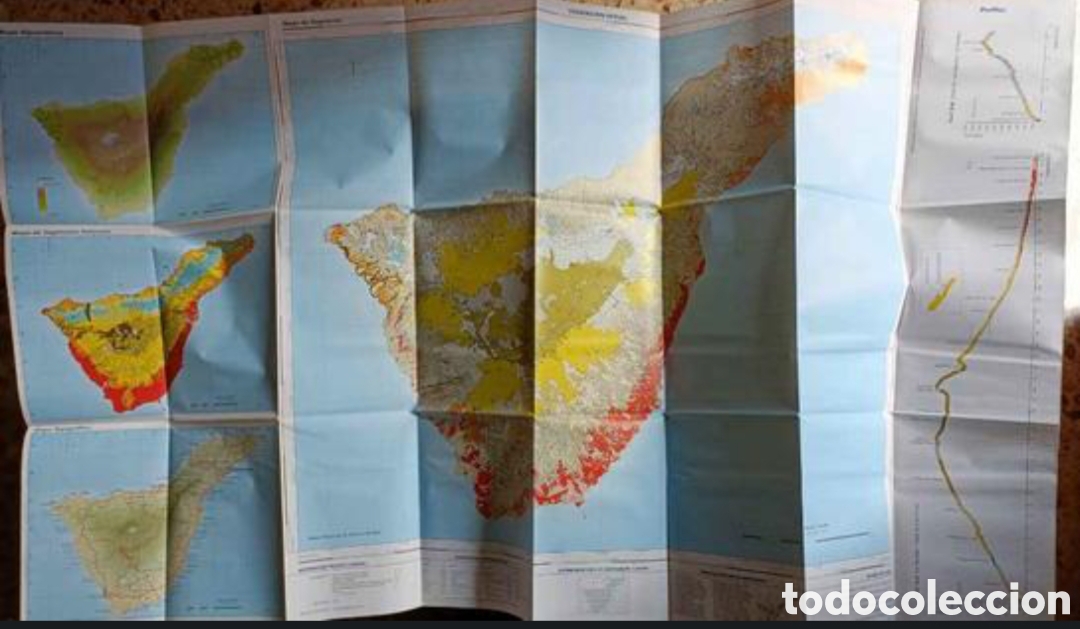 Libros: Mapa de Vegetaci&oacute;n de Canarias - Foto 8