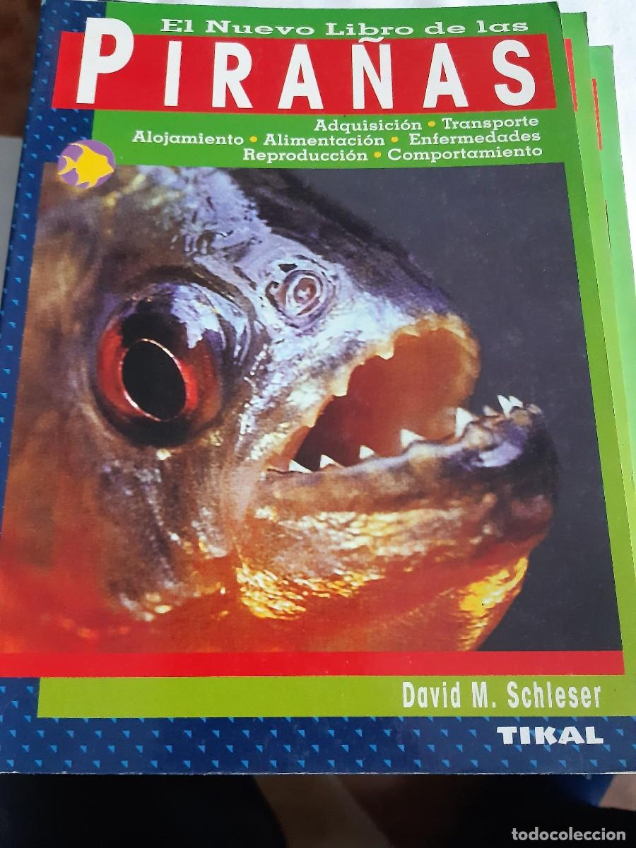 Libros: NUEVO LIBRO DE LAS PIRA&Ntilde;AS - EL - SCHLESER, DAVID M. - Foto 1