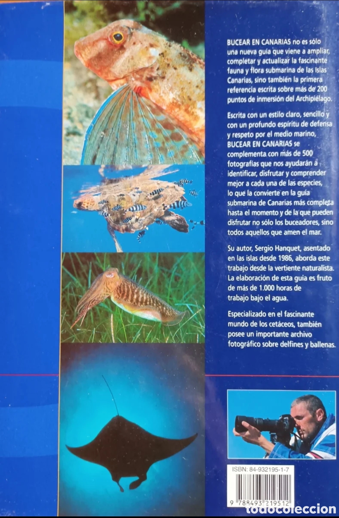 Libros: Bucear en Canarias. Guia submarina - Foto 2