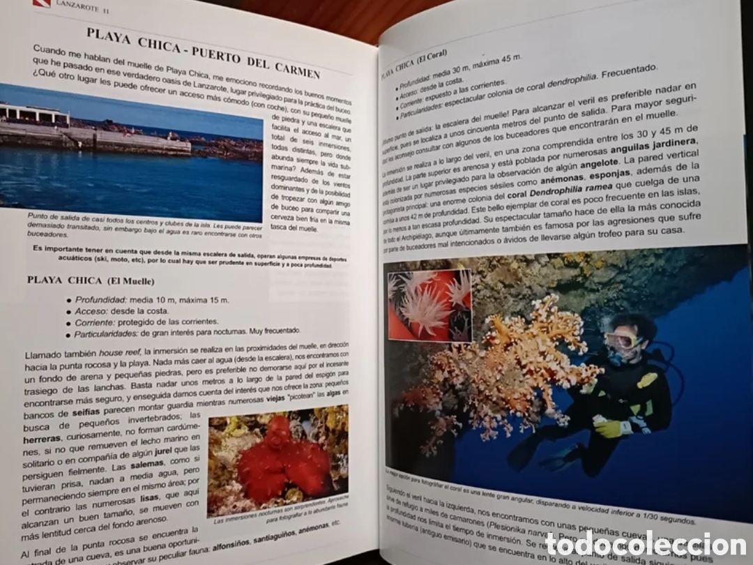 Libros: Bucear en Canarias. Guia submarina - Foto 3