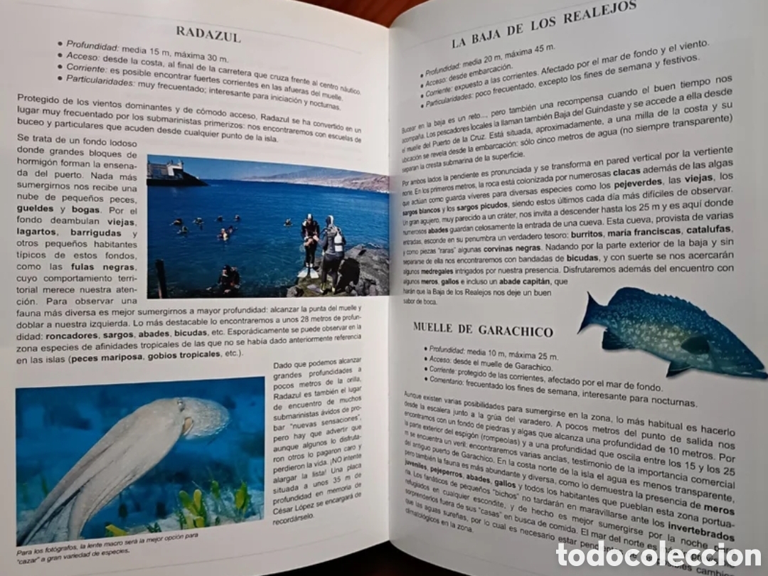 Libros: Bucear en Canarias. Guia submarina - Foto 5