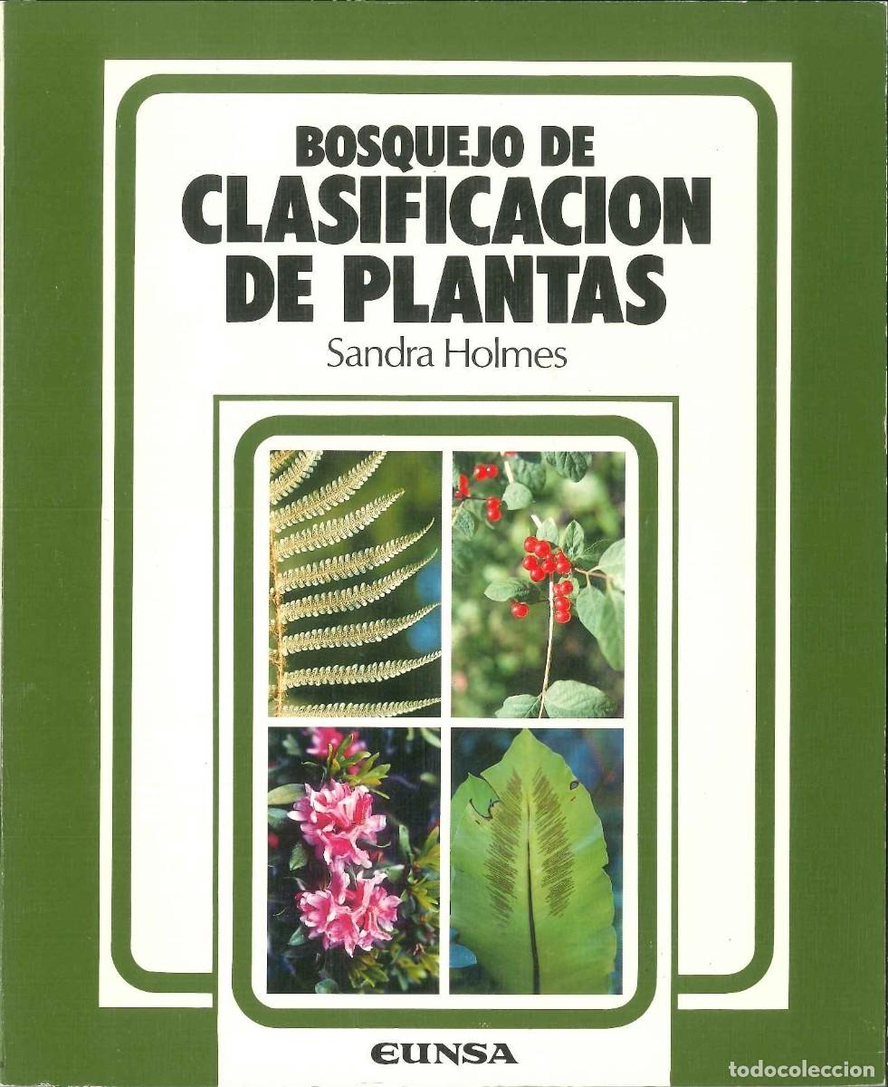 Libros: BOSQUEJO DE CLASIFICACI&Oacute;N DE PLANTAS - Foto 1