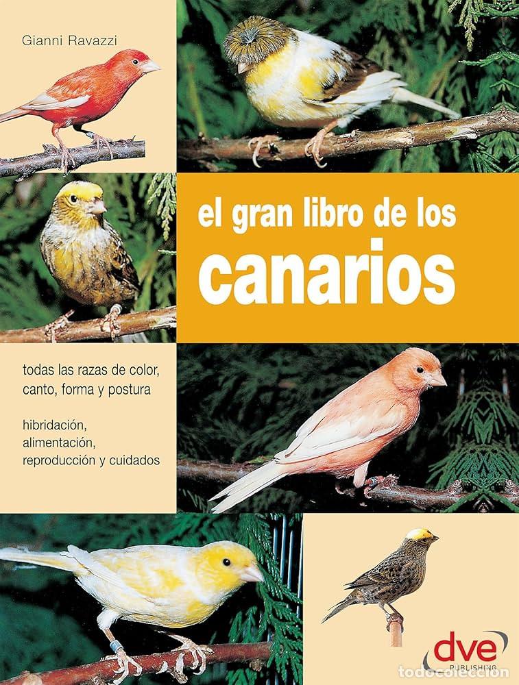 Libros: EL GRAN LIBRO DE LOS CANARIOS. GIANNI RAVAZZI. EDITORIAL DE VECCHI. 2006. - Foto 1