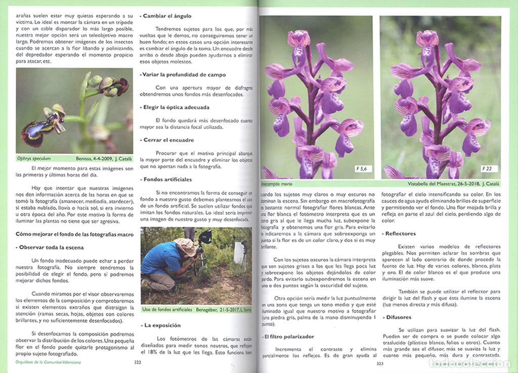 Libros: GU&Iacute;A DE LAS ORQUIDEAS DE LA COMUNITAT VALENCIANA - Foto 4