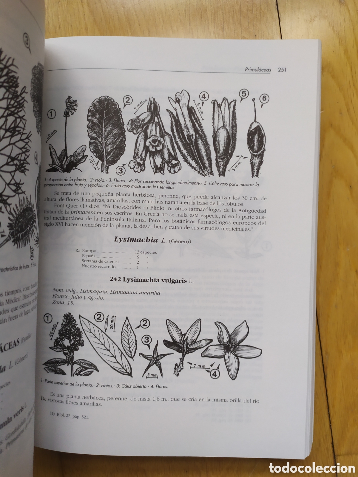 Libros: Cuenca Hoz del J&uacute;car Plantas de la ribera izquierda - Foto 6