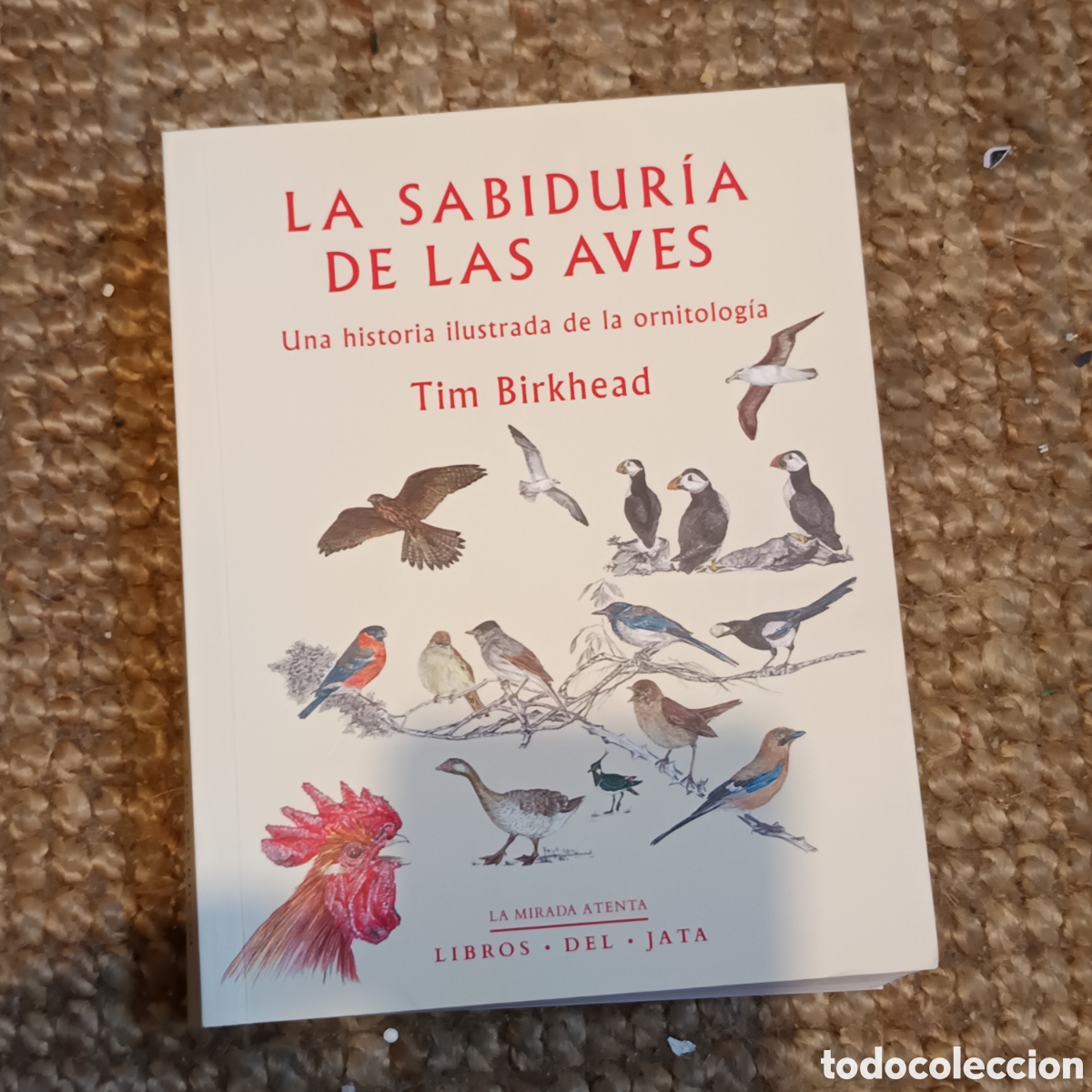 Livres: LA SABIDURIA DE LAS AVES: UNA HISTORIA ILUSTRADA DE LA ORNITOLOGIA