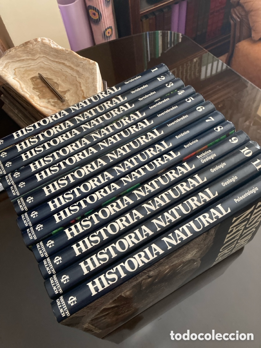 Libros: Historia Natural Instituto Gallach - Foto 3