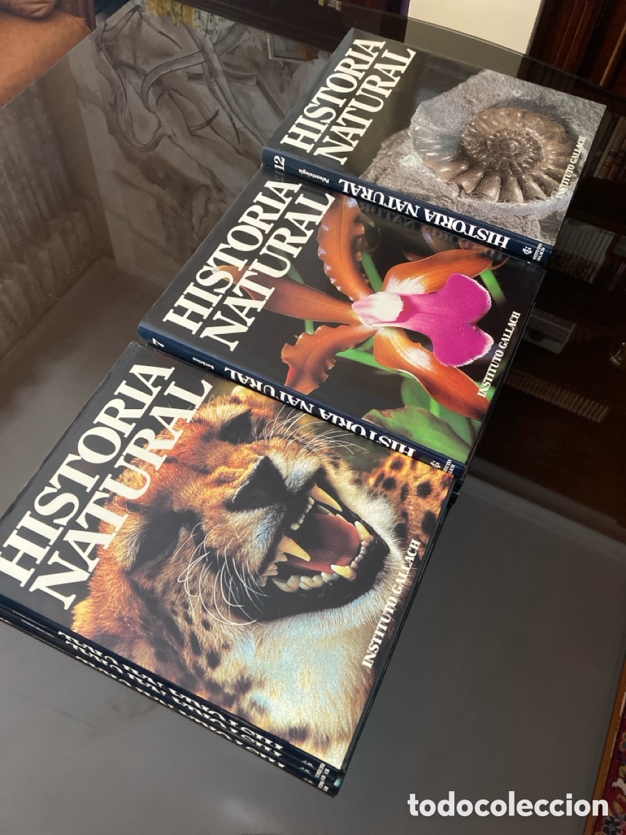 Libros: Historia Natural Instituto Gallach
