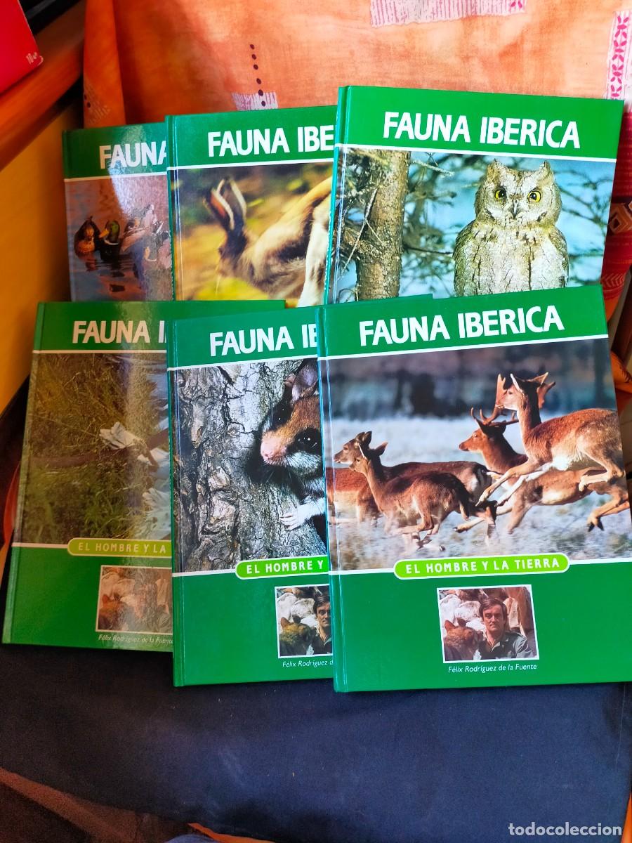 Libros: FAUNA IB&Eacute;RICA. LOTE DE 6 TOMOS. 1-2-3-4-7-11. FELIX RODR&Iacute;GUEZ DE LA FUENTE. 1991. SALVAT EDITORES.