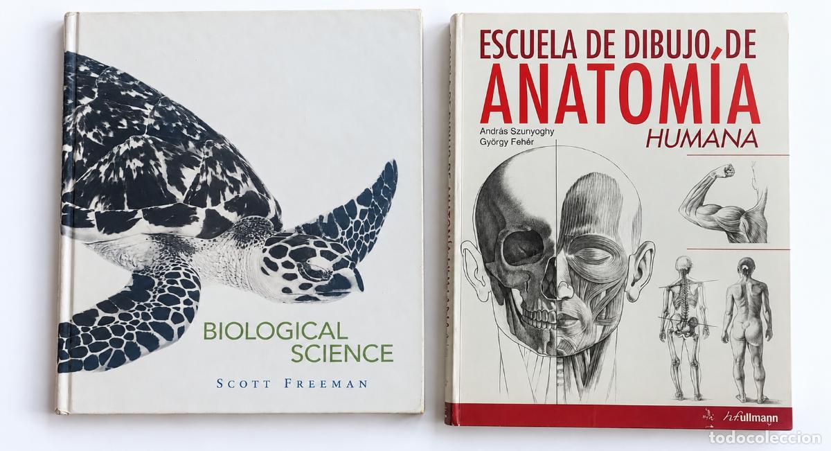 Libros: Lote 2 libros de biolog&iacute;a y anatom&iacute;a humana &ndash; Scott Freeman y Szunyoghy