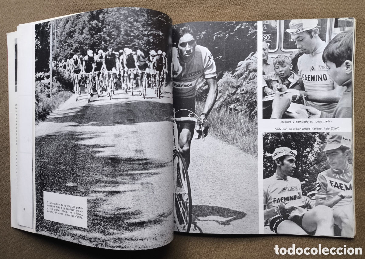 Coleccionismo deportivo: EDDY MERCKX BIOGRAF&Iacute;A 1973 - Foto 4