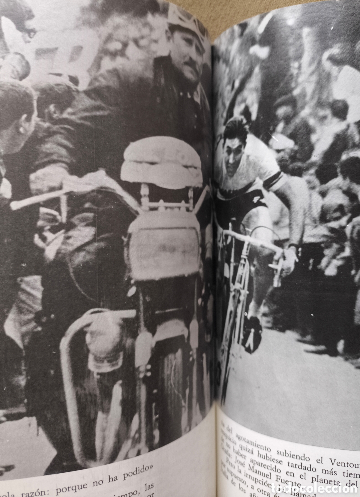 Coleccionismo deportivo: EDDY MERCKX BIOGRAF&Iacute;A 1973 - Foto 7
