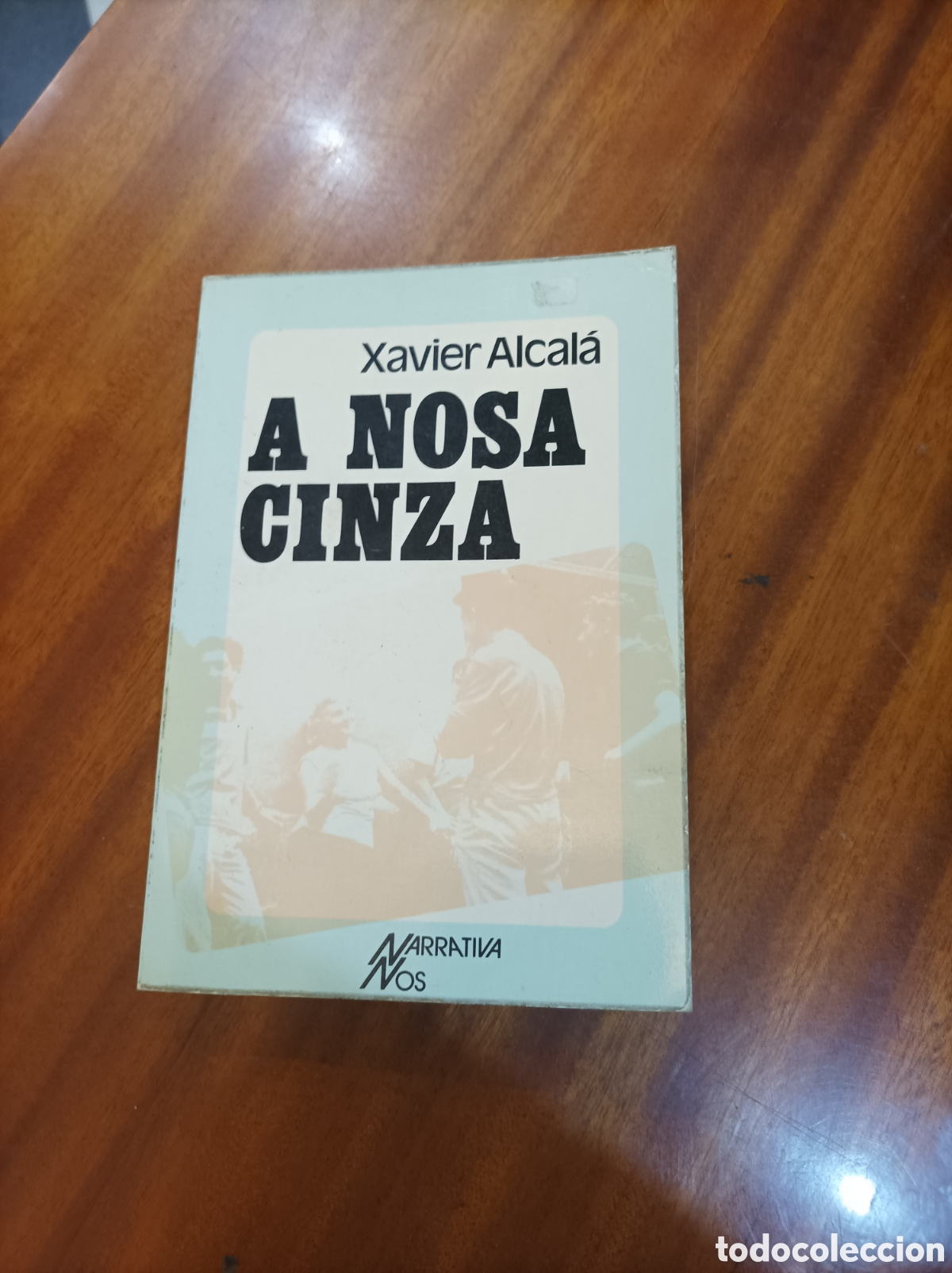 Libri: A NOSA CINZA.XAVIER ALCAL&Aacute;.EDICIONES NOS .1983