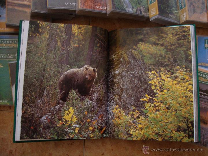 Libros: PARQUES NATURALES Y ESPACIOS PROTEGIDOS DE ESPA&Ntilde;A - Foto 4