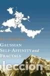 Libros: Gaussian Self-Affinity and Fractals - Mandelbrot, Benoit - Foto 2