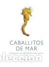 Libros: CABALLITOS DE MAR - LOURIE, SARA - Foto 1