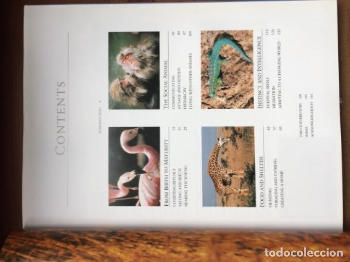 Libros: Animal Behaviour - Foto 2