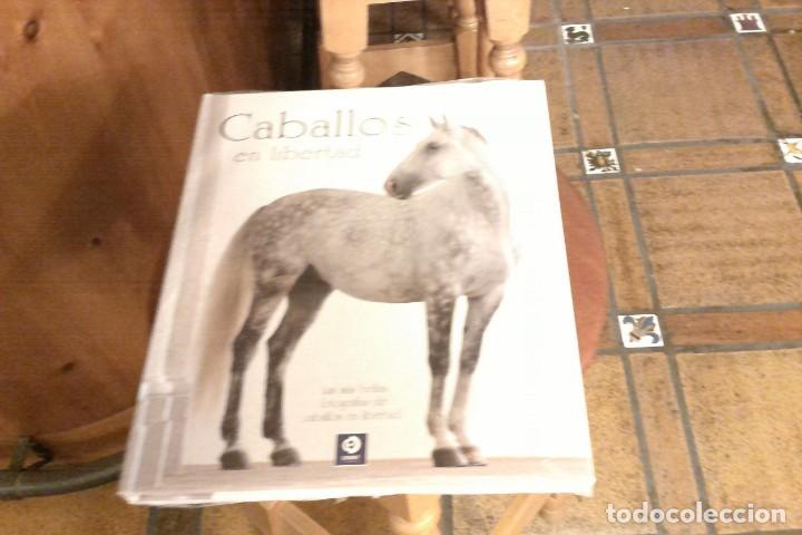 Libros: Libro: Caballos en libertad - Foto 1