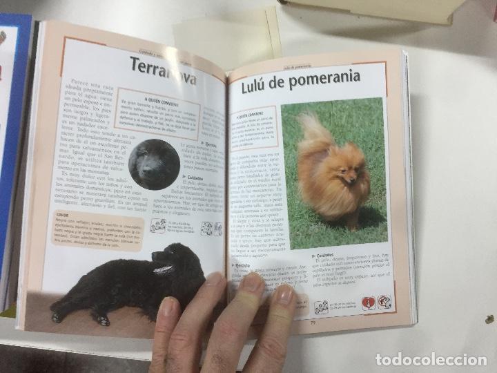 Libros: Cuidado y adiestramiento del perro - Foto 2