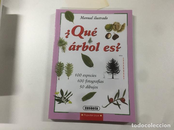 Libros: Manual ilustrado Qu&eacute; &aacute;rbol es? - Foto 1