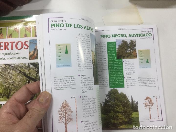 Libros: Manual ilustrado Qu&eacute; &aacute;rbol es? - Foto 2