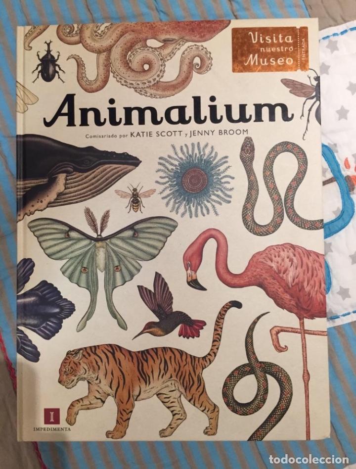 Libros: Libro ilustrado Animalium - Foto 1