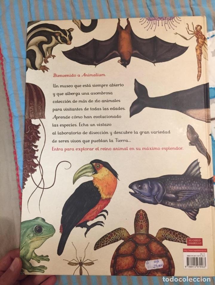 Libros: Libro ilustrado Animalium - Foto 2