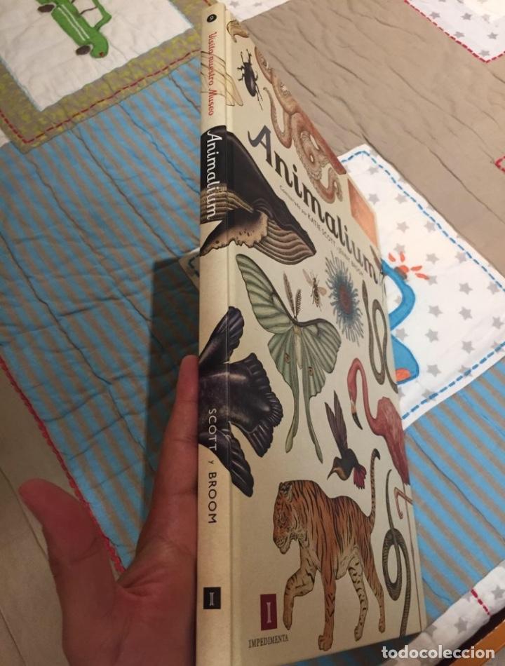 Libros: Libro ilustrado Animalium - Foto 3