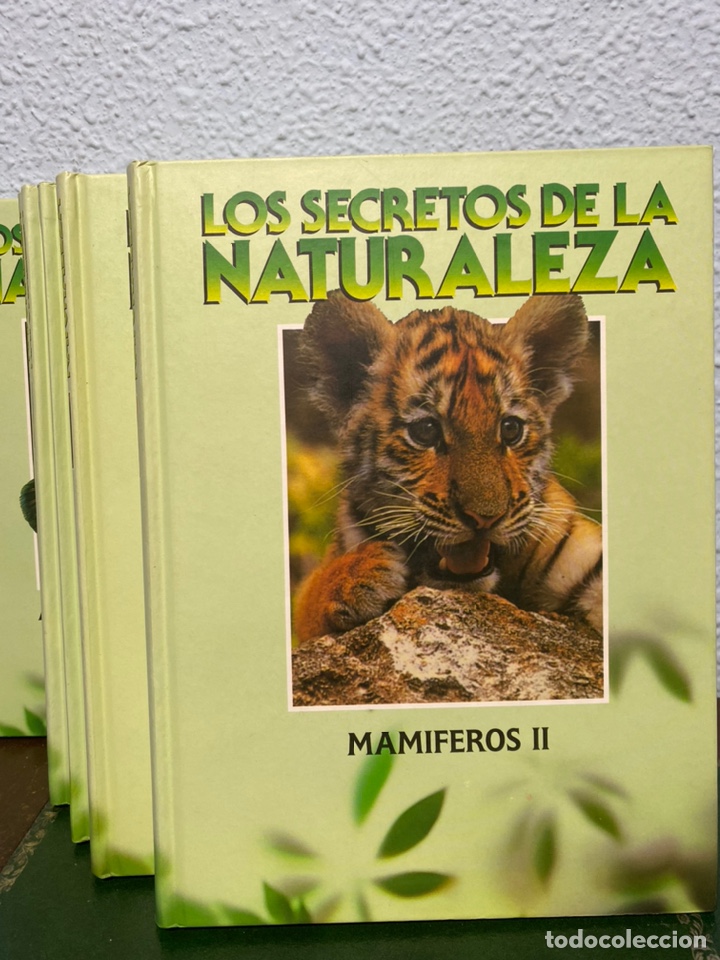 Libros: Libros los secretos de la naturaleza - Foto 3