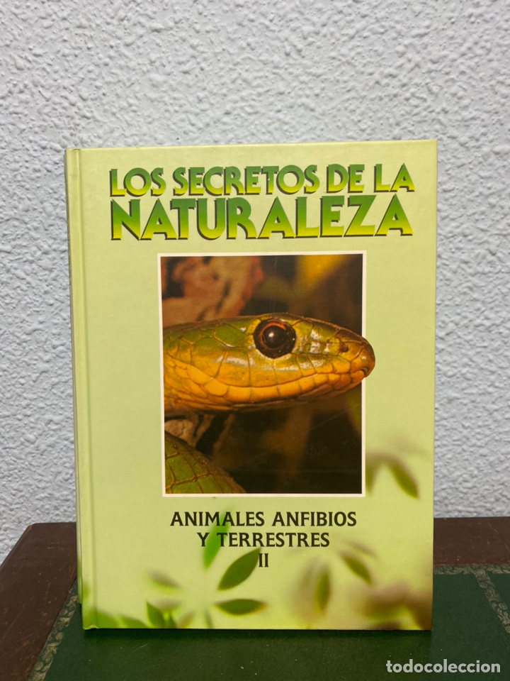 Libros: Libros los secretos de la naturaleza - Foto 4