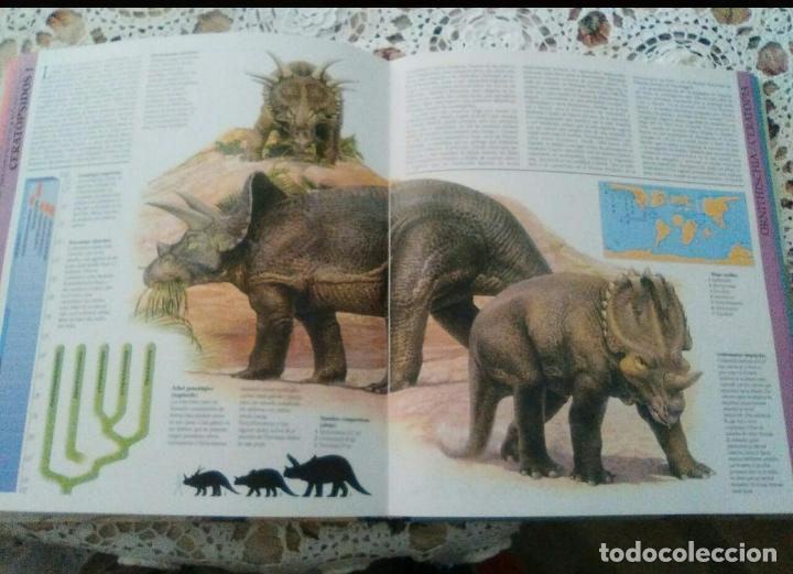Libros: ATLAS ILUSTRADO DE LOS DINOSAURIOS - Foto 3