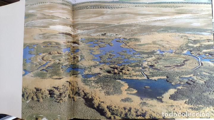 Libros: Las Tablas de Daimiel - Foto 3