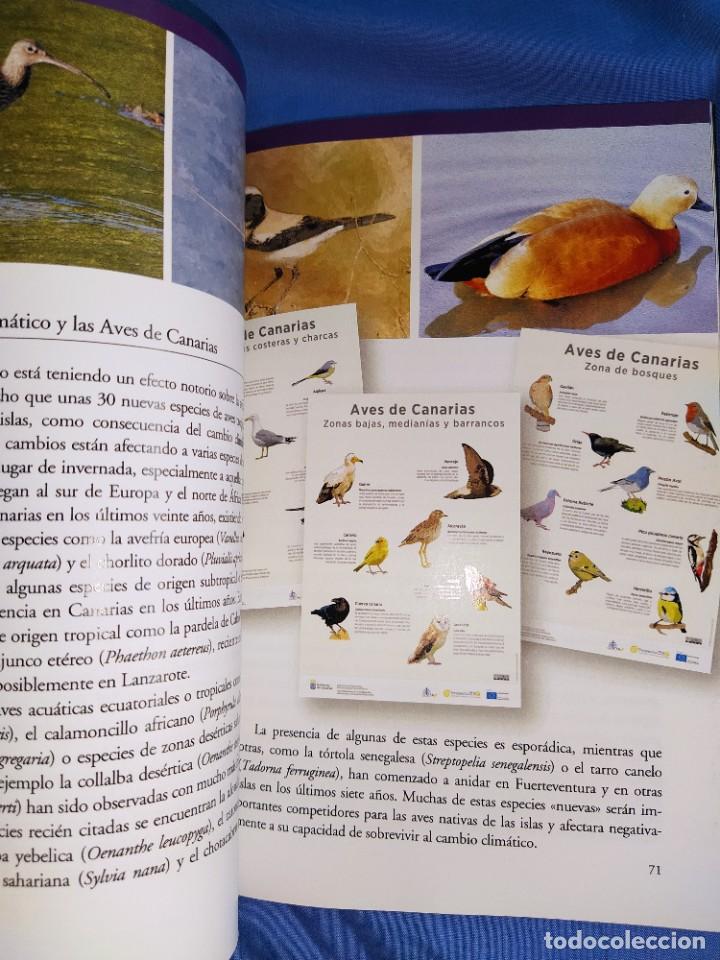 Libros: libro el cambio climatico y las islas canarias - Foto 2