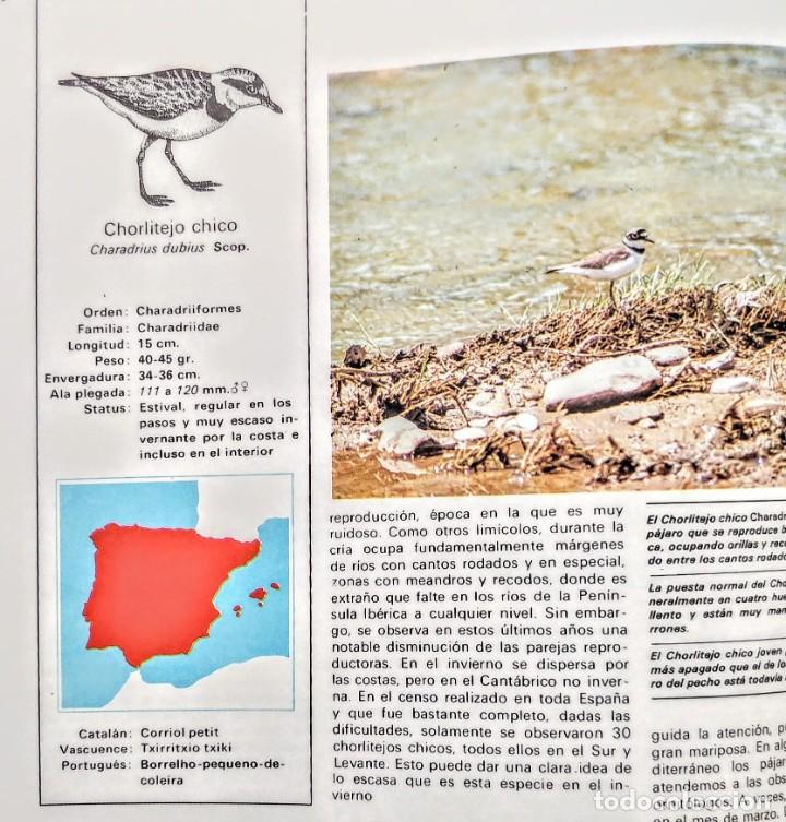 Libros: FAUNA IBERICA.PAJAROS DE LA COSTA 2. - Foto 2