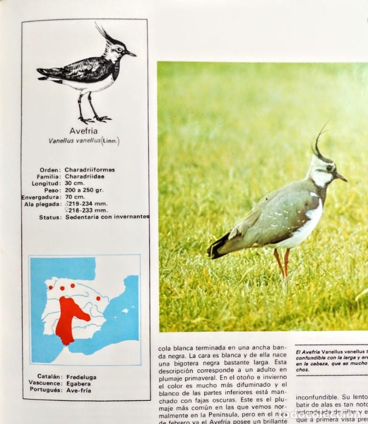 Libros: FAUNA IBERICA.PAJAROS DE LA COSTA 2. - Foto 3