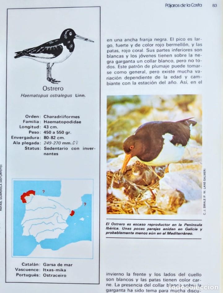 Libros: FAUNA IBERICA.PAJAROS DE LA COSTA 2. - Foto 4