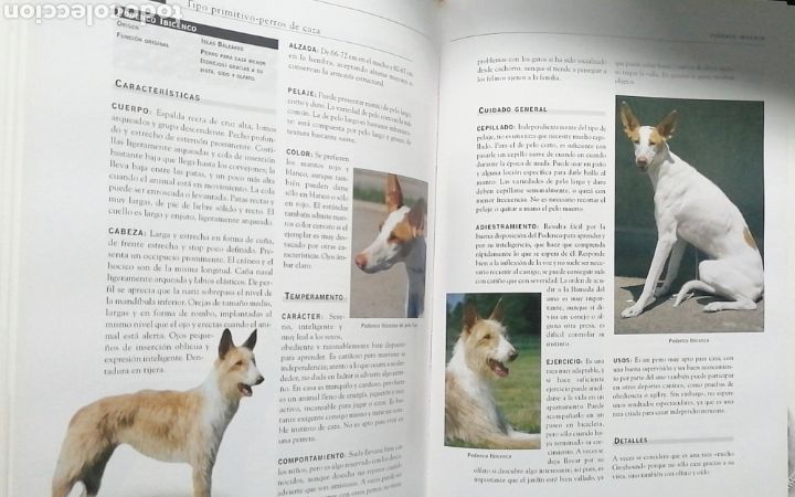 Libros: Enciclopedia De Los Perros - Foto 2