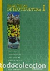 Libri: PRACTICAS DE FRUTICULTURA I - Mart&iacute;nez Nicol&aacute;s, Juan Jos&eacute;; Hern&aacute;ndez Garc&iacute;a, Francisca; Melgarejo