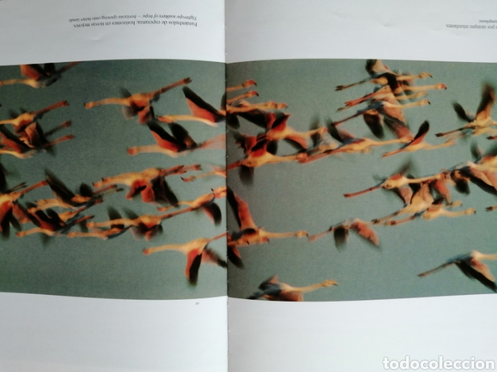 Libros: LIBRO DO&Ntilde;ANA PARQUE NACIONAL - Foto 5