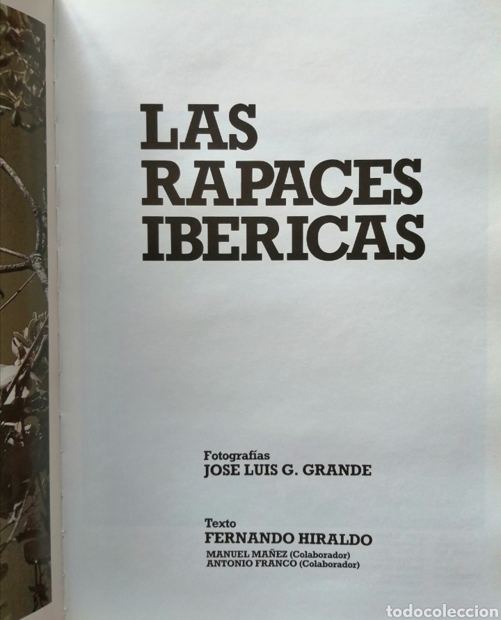 Libros: LAS RAPACES IBERICAS - Foto 2