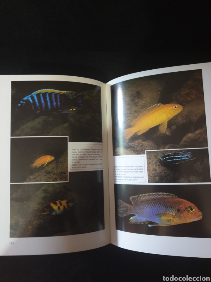 Libros: Enjoying Cichlids - Foto 3