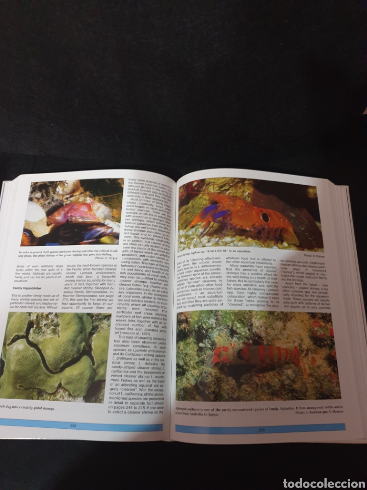 Libros: The Modern Coral Reef Aquarium - Foto 3
